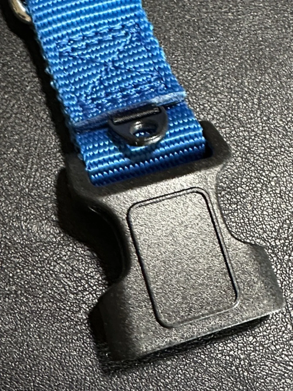 Petsafe Large Blue Nylon New Dog Collar